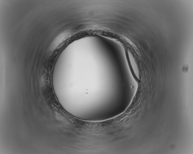X0000090450775200707201313
