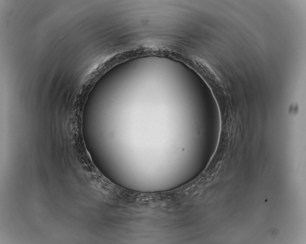 X0000090450776200707201313