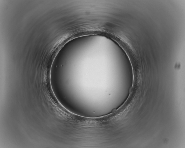 X0000090450777200707201313