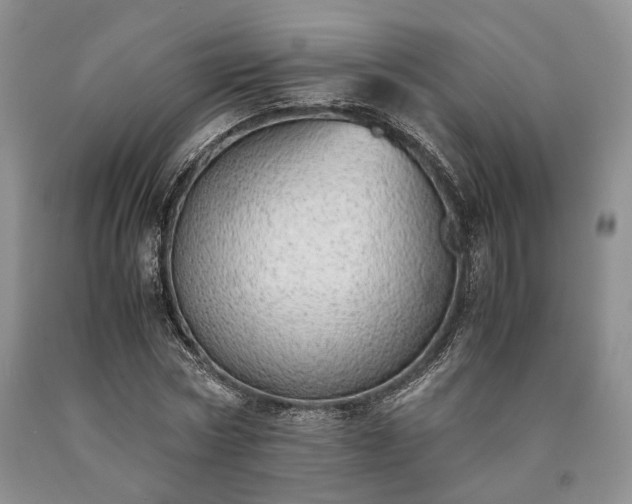 X0000090450778200707201313