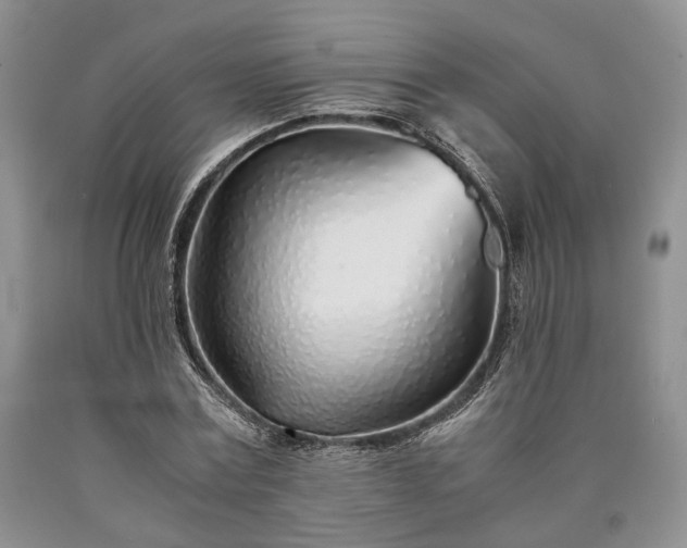 X0000090450779200707201313