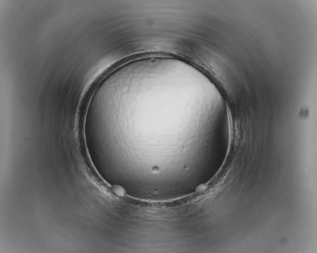 X0000090450780200707201313