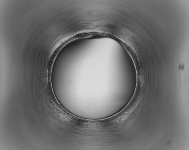 X0000090450781200707201313