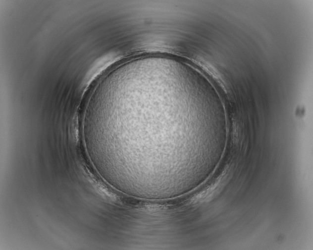 X0000090450782200707201313