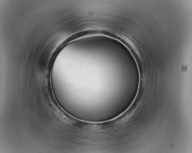 X0000090450783200707201313