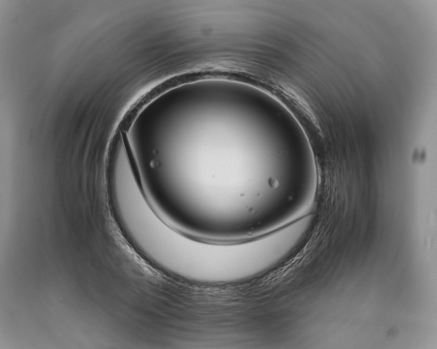 X0000090450784200707201313