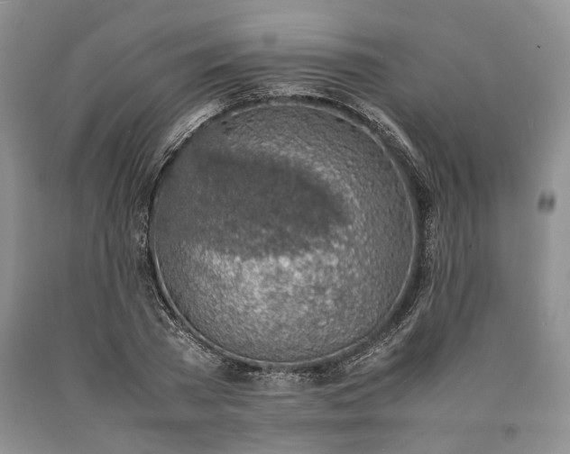 X0000090450785200707201313