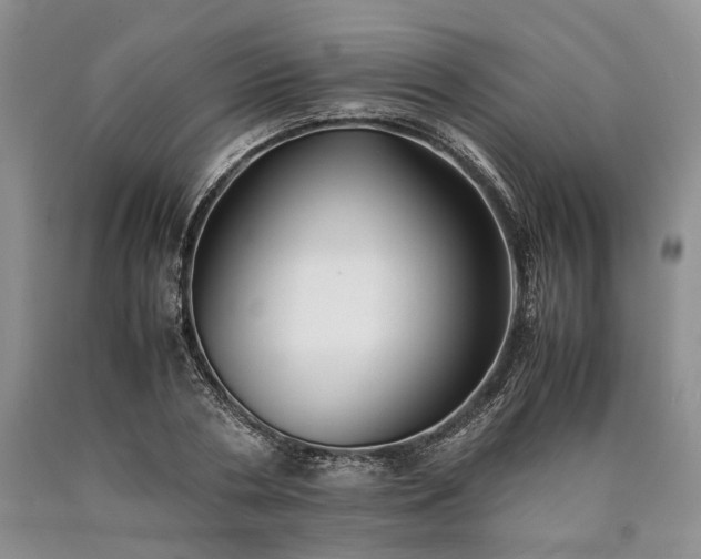 X0000090450786200707201313