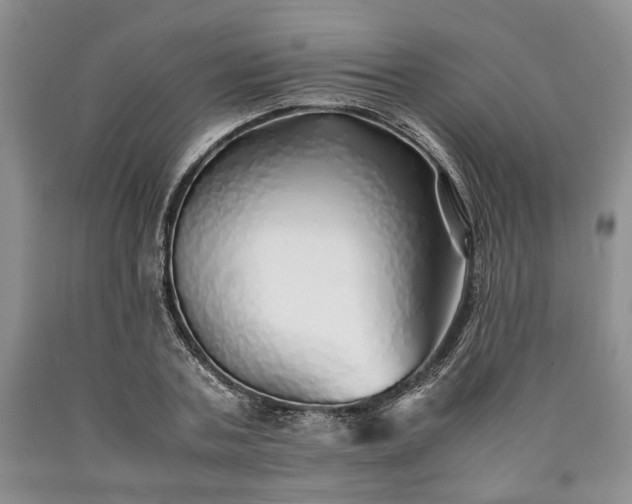 X0000090450787200707201313