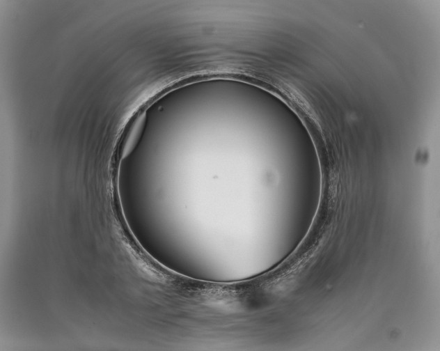 X0000090450789200707201313
