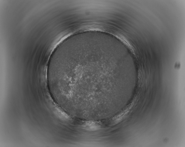 X0000090450790200707201313