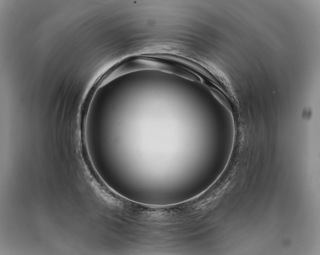 X0000090450792200707201313