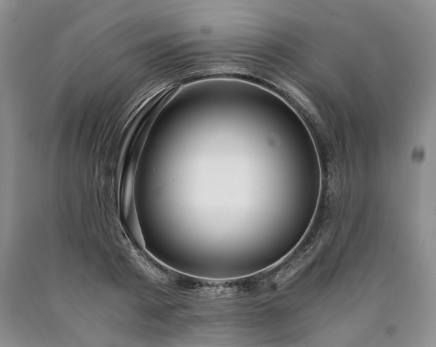 X0000090450793200707201313