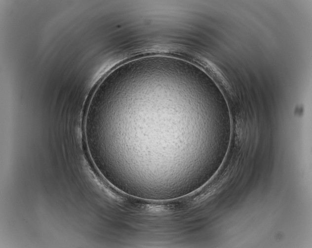 X0000090450794200707201313