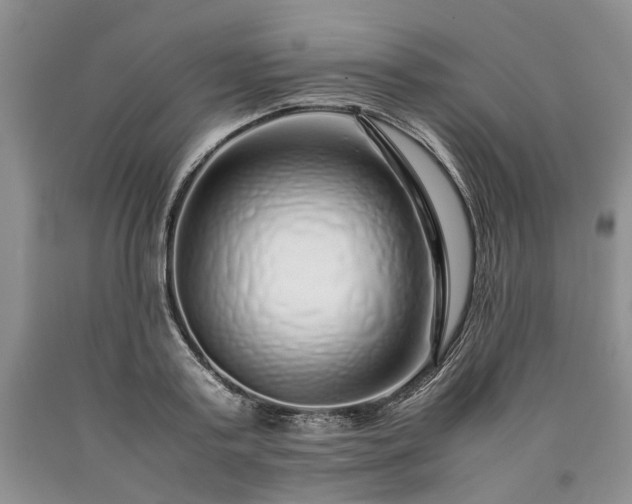 X0000090450795200707201313
