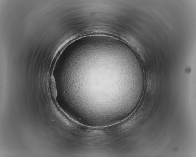 X0000090450798200707201313