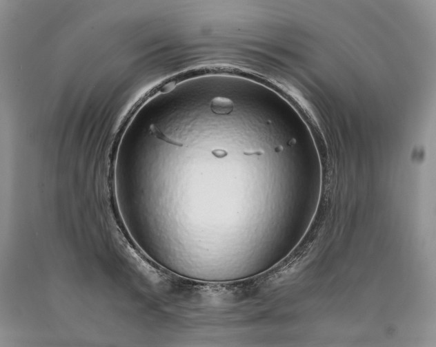 X0000090450799200707201313