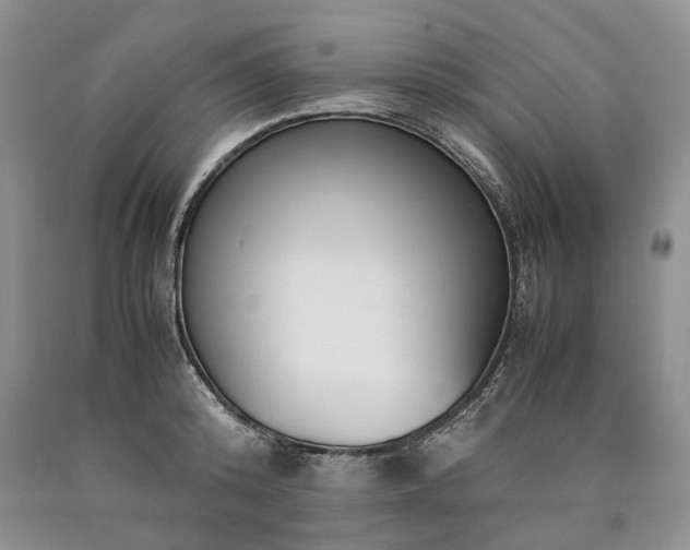 X0000090450800200707201313