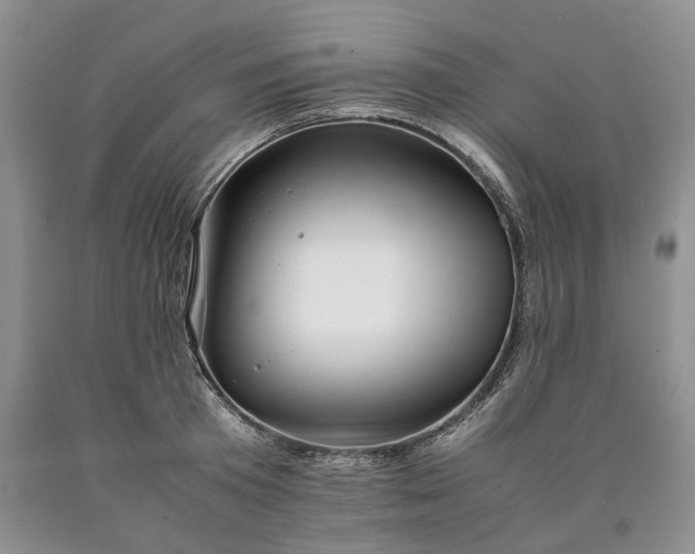 X0000090450801200707201313