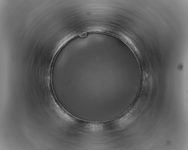 X0000090450802200707201313