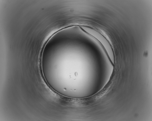 X0000090450803200707201313