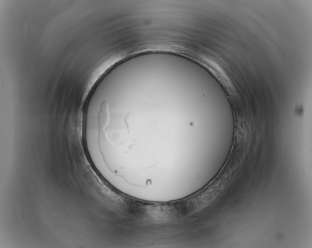 X0000090450804200707201313