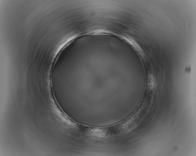 X0000090450806200707201313