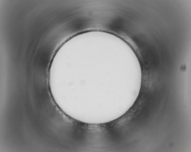 X0000090450807200707201312