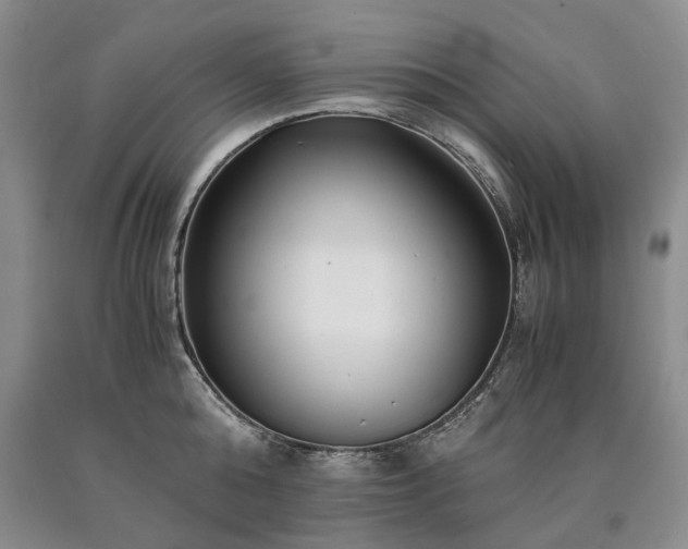 X0000090450808200707201312