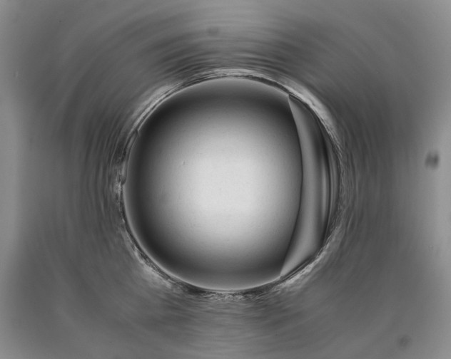X0000090450809200707201312