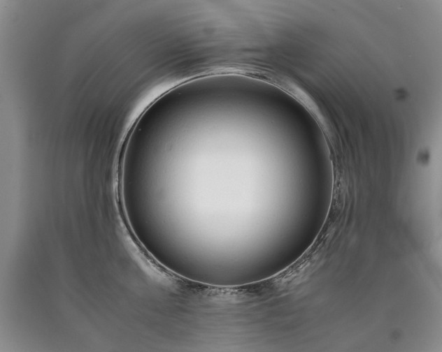 X0000090450811200707201312