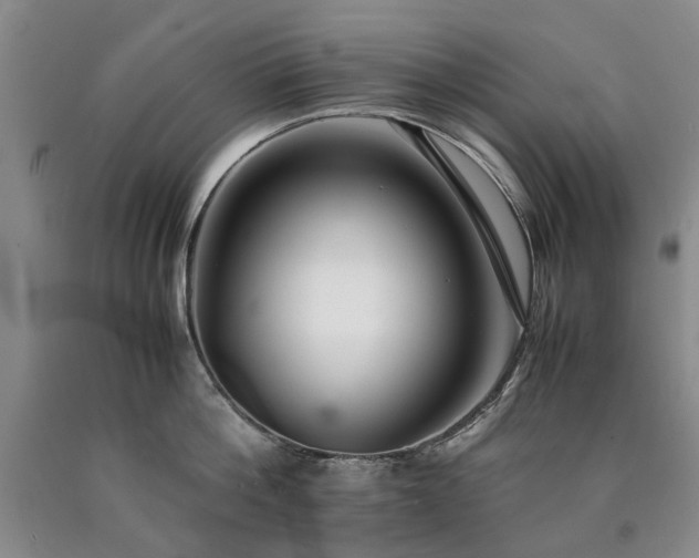 X0000090450812200707201312
