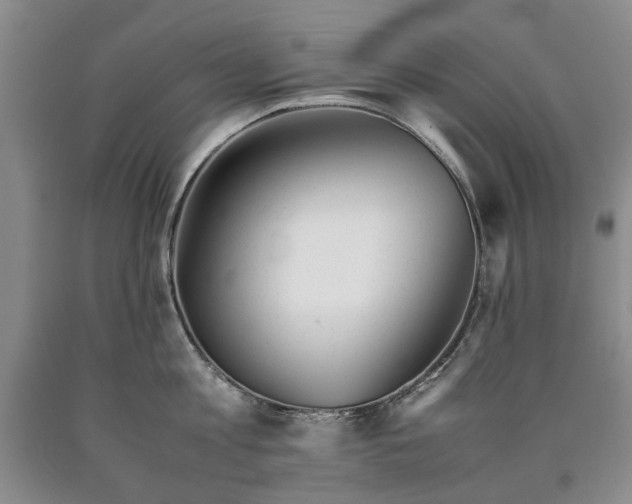 X0000090450813200707201312
