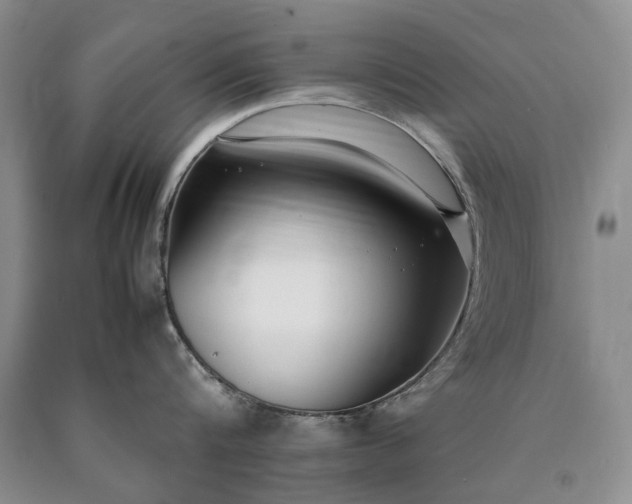 X0000090450816200707201312