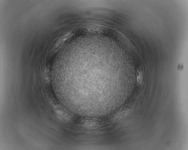 X0000090450819200707201312