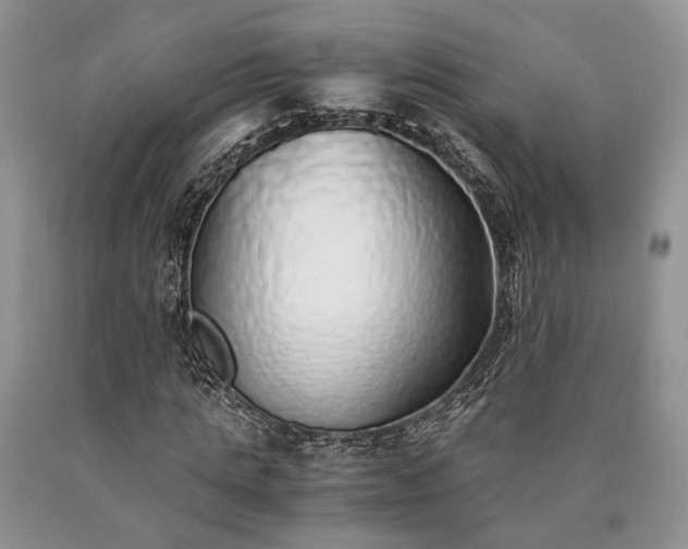 X0000090450821200707201312