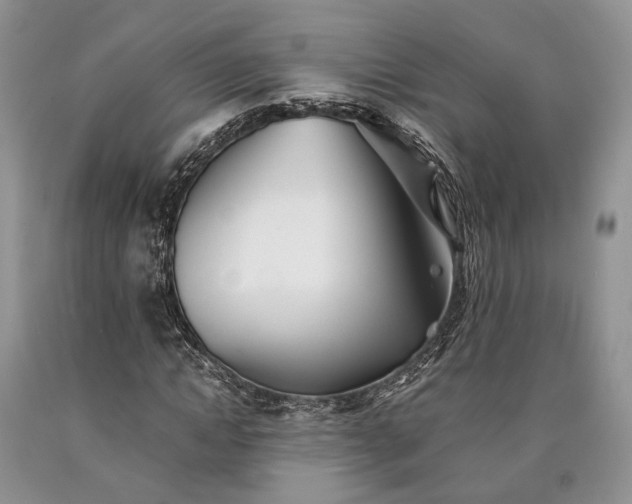 X0000090450822200707201312