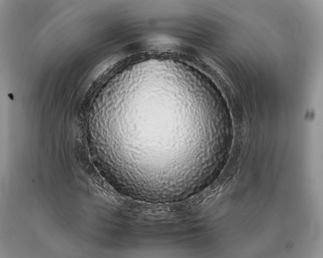 X0000090450823200707201312