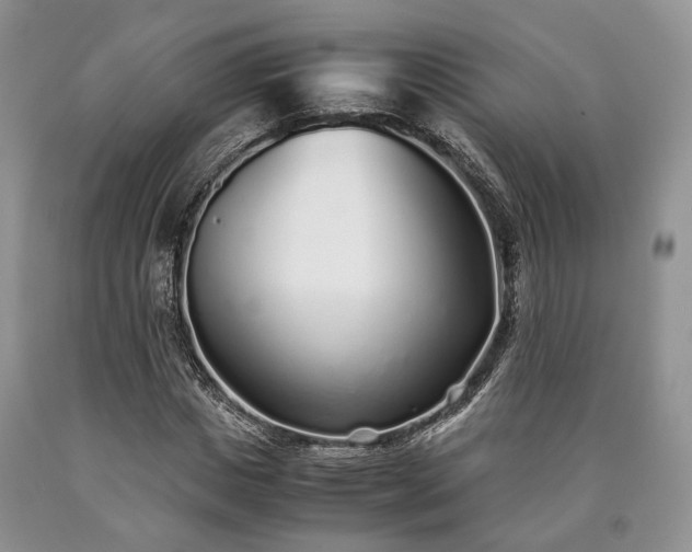 X0000090450825200707201312