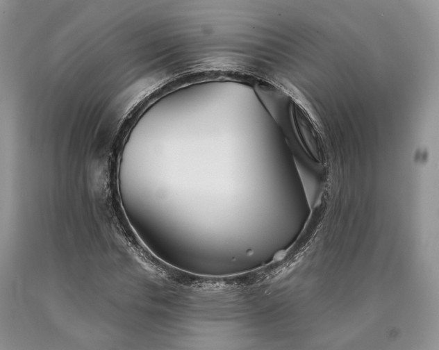 X0000090450826200707201312