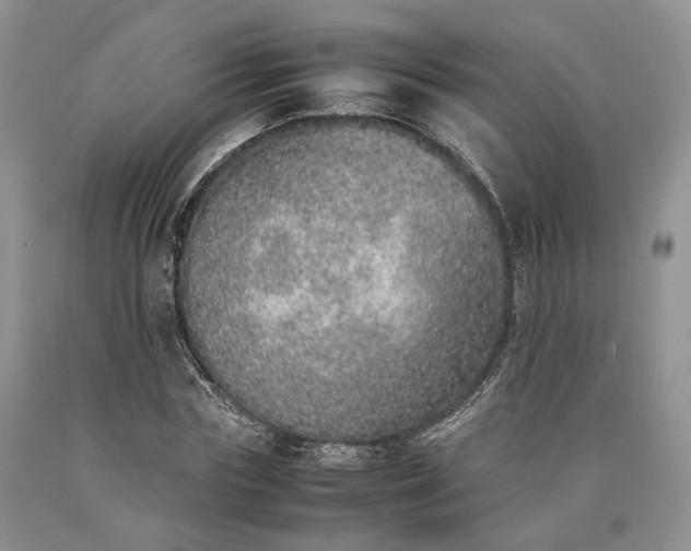 X0000090450827200707201312