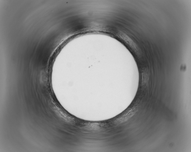 X0000090450828200707201312