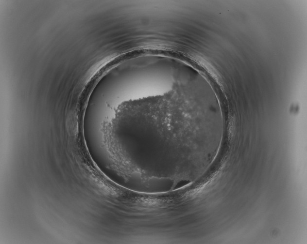 X0000090450829200707201312