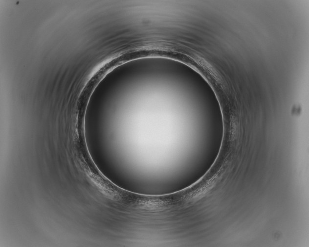 X0000090450830200707201312