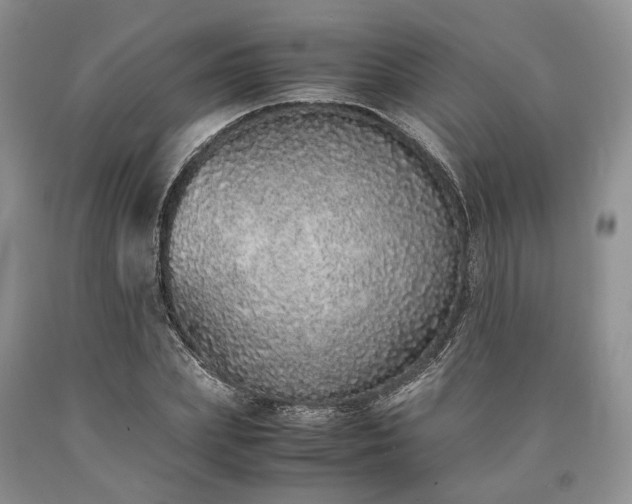 X0000090450831200707201312