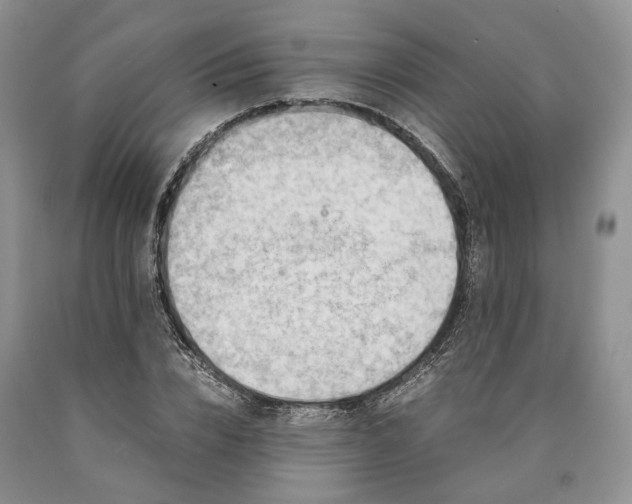 X0000090450832200707201312