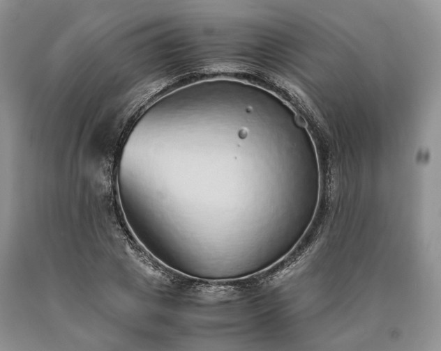 X0000090450833200707201312