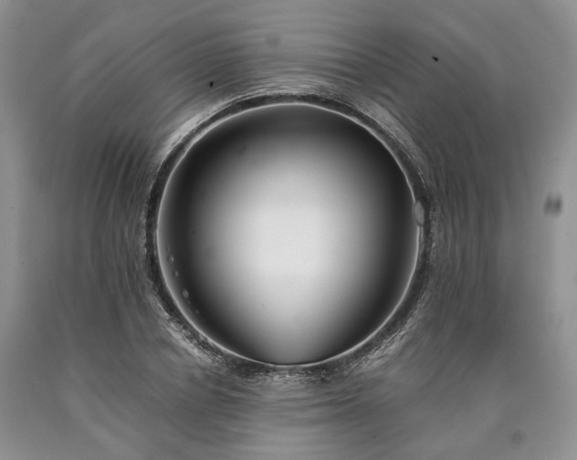 X0000090450834200707201312