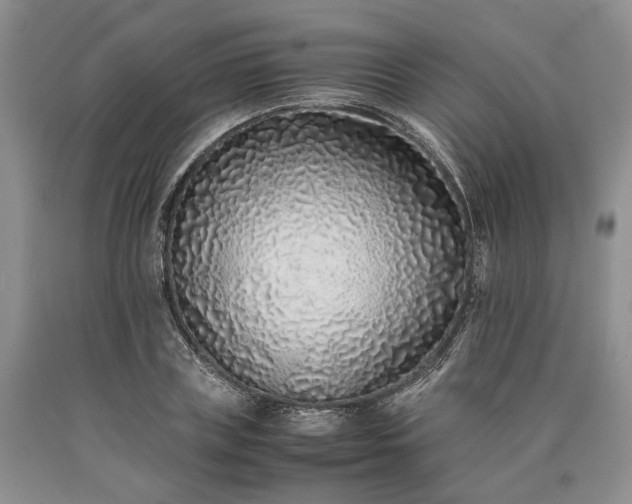 X0000090450835200707201312