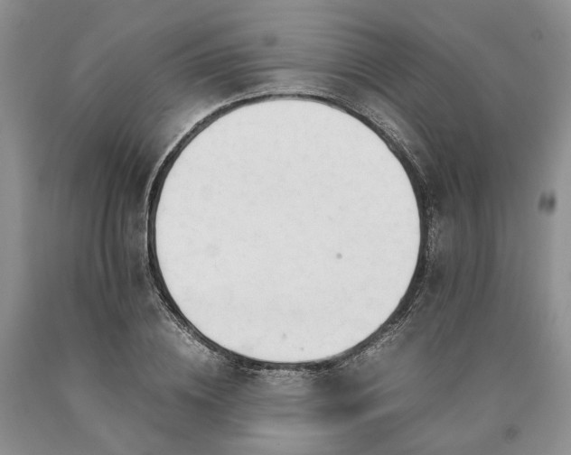 X0000090450836200707201312